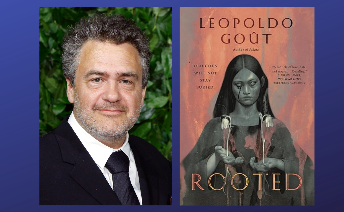 LEOPOldo gout book cover