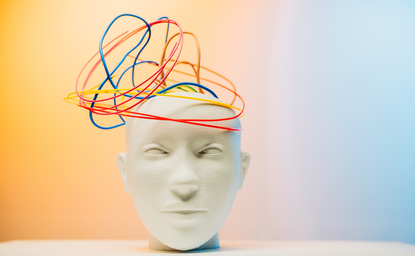 bust of a head with wires