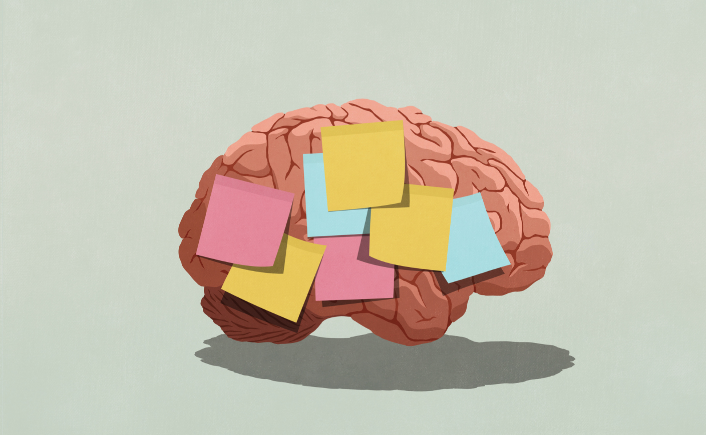 Illustration of a brain with post-it notes on it