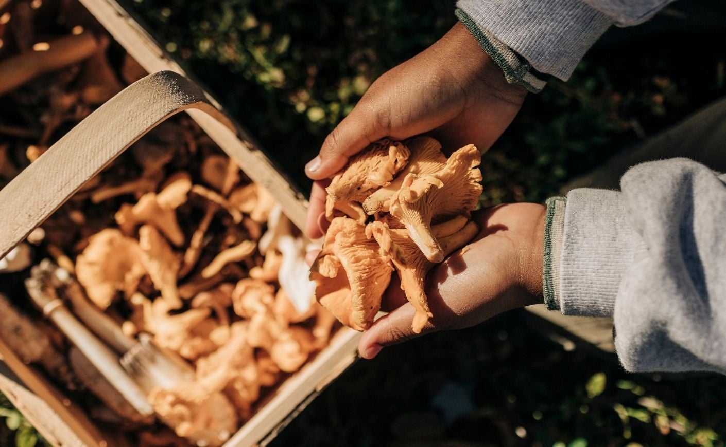 Foraging