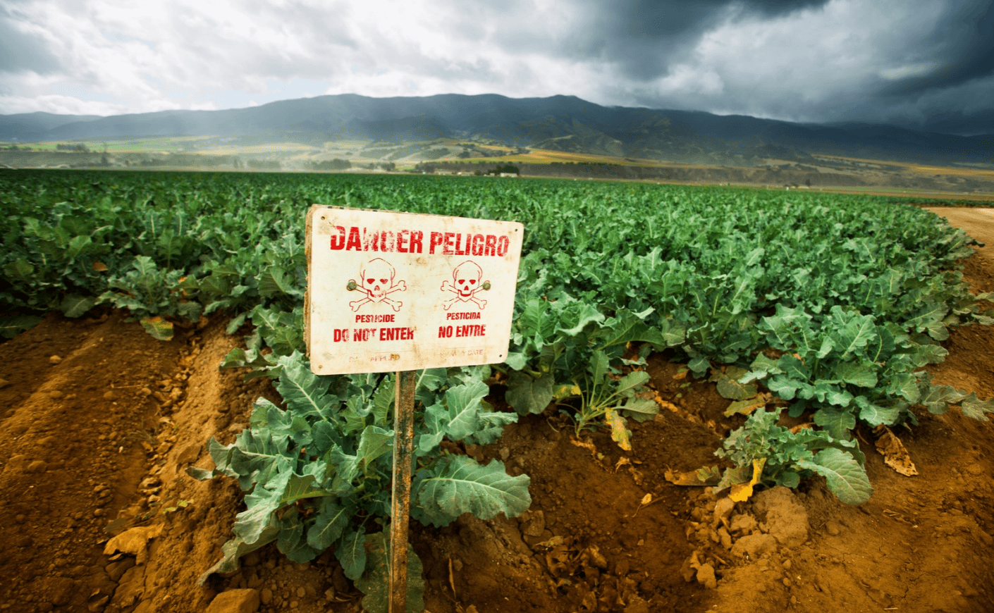 pesticides breast cancer